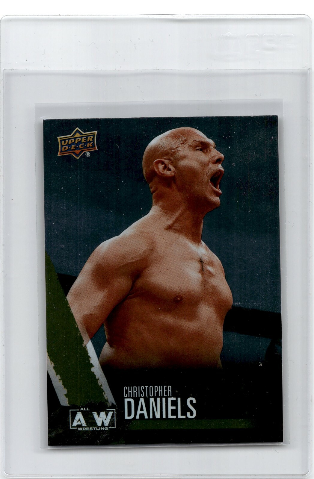 2021 Upper Deck AEW All Elite Wrestling Rainbow Foil Parallel  Chris Daniels