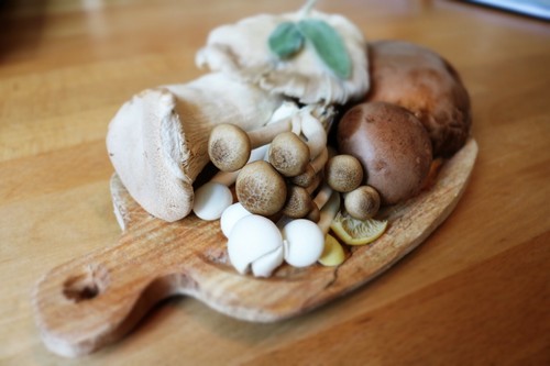 Malt Extract Agar (MEA) 56 grams - Great For Growing Mushrooms! - Yields 1 Liter - Picture 5 of 6