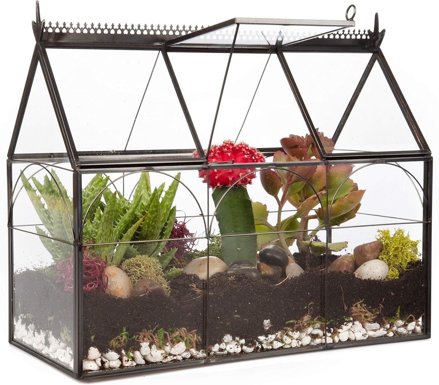 Glass Terrarium, Geometric DIY, Succulent & Air Plant - Hinged Greenhouse Shaped