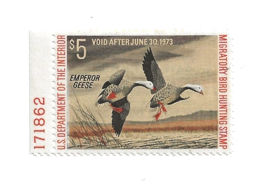 Foto 1 di 1