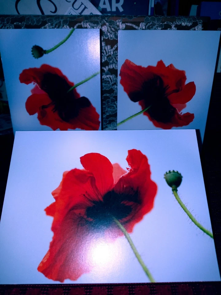 Mother's Day/ Birthday Card Gift Set Include Poem in Card & envelope 4 x 5.75 in - Image 3 of 4