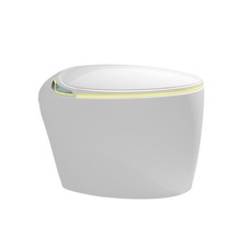 Modern -Piece with Heated Seat, LED Display, Night Light, Female Washing  Eco