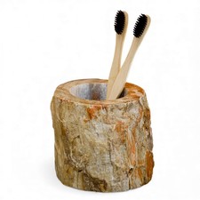 Pétrifiée Bois Salle de Bain Gobelet Brosses à Dents Support Accessoires Tubes