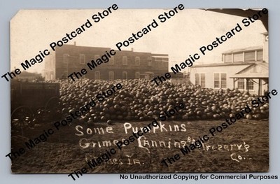 ''Some Pumpkins'' Grimes Canning & Preserving Co RPPC Grimes Iowa Photo ~1910s