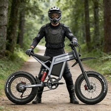 Electric Dirt Bike 20'' 1500W E-Motorcycle 60V 30AH Fat Tire E-Bike Oil Brakes