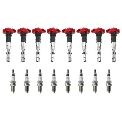 Eldor 8 Ignition Coils NGK Iridium IX Spark Plugs Kit for Audi Volkswagen 4.2L