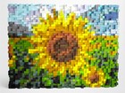 Bild 3 von 9