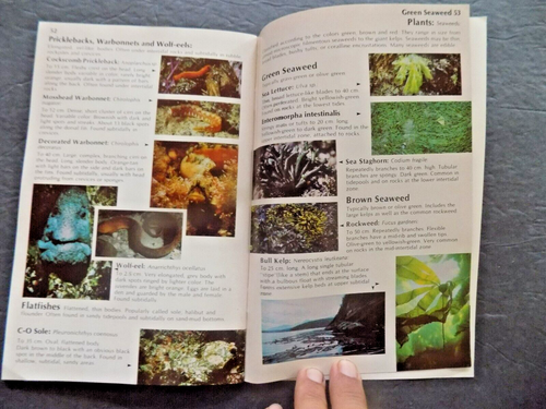 TIDEPOOL AND REEF : Marinelife Guide to the Pacific Northwest Coast , NEW - Imagen 2 de 11