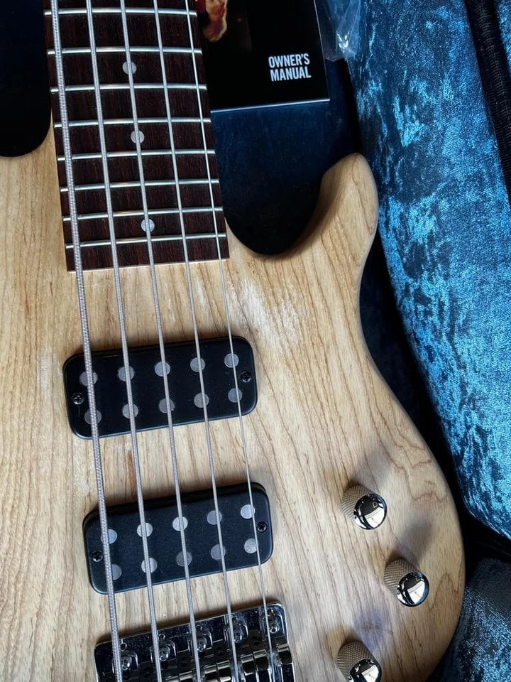 Bajo ligero Gibson Usa Eb de 3,67 kg 5 cuerdas entrega segura desde Japón Foto 4 de 4