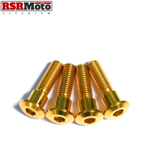 Suzuki RGV250 Titanium Rear Brake Disc Bolts, 1987-1998, All Models, Gold - Picture 1 of 3