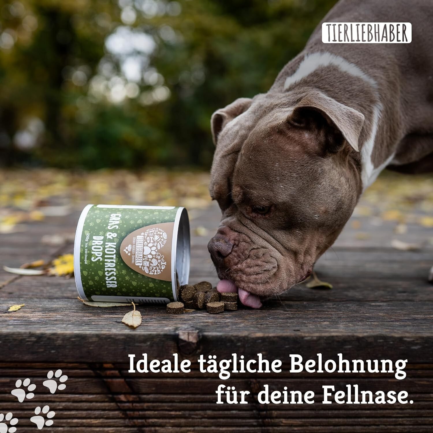 Bild 5 von 9