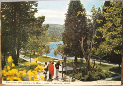 Irish PC TOM MOORE'S TREE Meeting Waters AVOCA Wicklow Ireland John Hinde 2/385