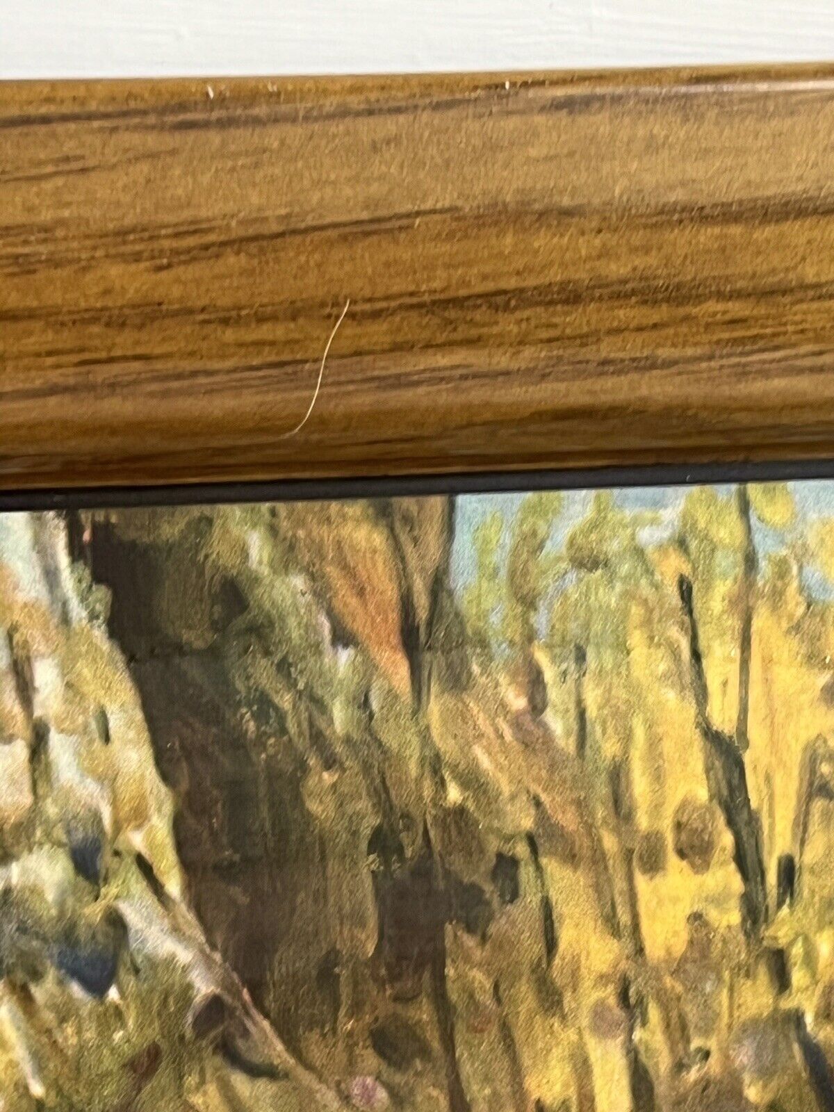 Picture 9 of 17