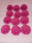 12 Vintage Fuchsia Pink 20mm Round Mums Flowers Floral Acrylic Cameos Cabochons — photo 3