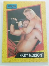 RICKY MORTON #98 - WCW WORLD CHAMPIONSHIP WRESTLING, 1991 TRADING CARD 9.8