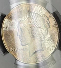 1923 Peace Dollar NGC MS 64 Rubber Band 💛 TONER
