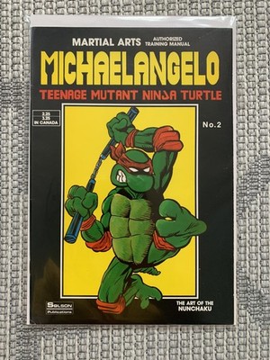 Teenage Mutant Ninja Turtle Michaelangelo Martial Arts Training #2 1986