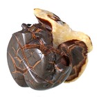 Foto 7 di 7