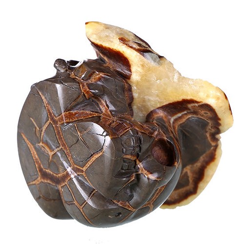 Calavera/cabeza de cristal septario geoda natural de 3,39" talla coleccionables, #0V08 - Imagen 7 de 7