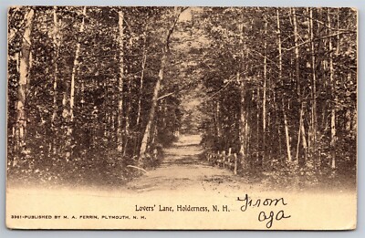Lovers Lane Holderness NH C1907 Clark Island Postal Obsolete DB Postcard P15