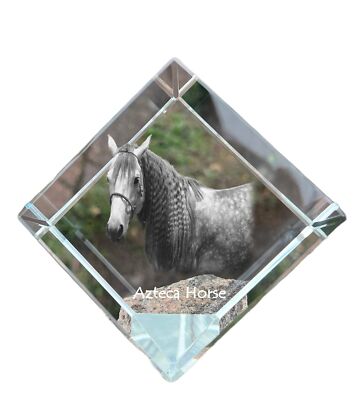 Azteca Horse - crystal cube with a horse picture, horse picture in crystal, cubi