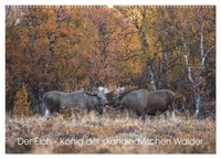 David Oberholzer | Der Elch - KöNig Der Skandinavischen WäLder (Wandkalender...