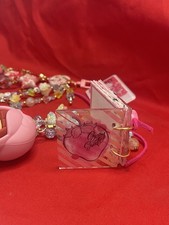 Strawberry Shortcake Mini Acrylic Journal Bundle | Tassel & Spine Dangle
