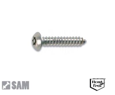 10 St Blech-/ Sicherheitsschrauben DIN 7981 Linsenkopf A2 4,8X16 TORX+PIN