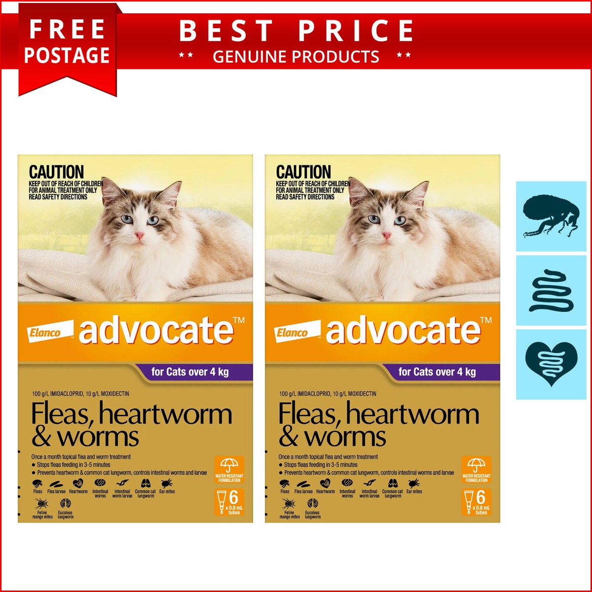 Advocate Flea And Worm Treatment For Cats Worm Treatment For Dogs