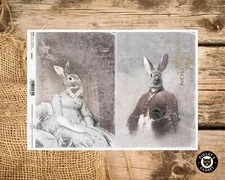 Vintage Rabbit Portraits | A4 Rice Paper | ITD Collection | Decoupage Paper