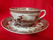 Antiche Riproduziani Peacock Transferware Cup & Saucer Set