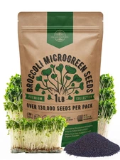 Broccoli Sprouting & Microgreens Seeds - Non-GMO, Heirloom Sprout Seeds Kit, ...