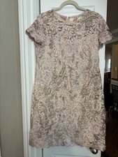 Adrianna Papell Women's Lace Blush A-Line Shift Dress