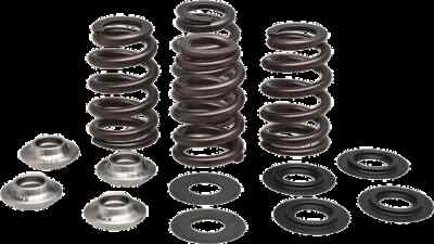 Kibblewhite Beehive Racing Valve Spring Kit for KTM 450 SXF 13-18