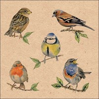 20 Papierservietten, Servietten Vogelarten Ambiente 33X33Cm | Bird Species