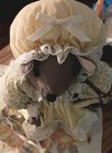 Foto 3 di 16