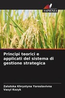 Principi Teorici E Applicati Del Sistema Di Gestione Strategica Taschenbuch 2022
