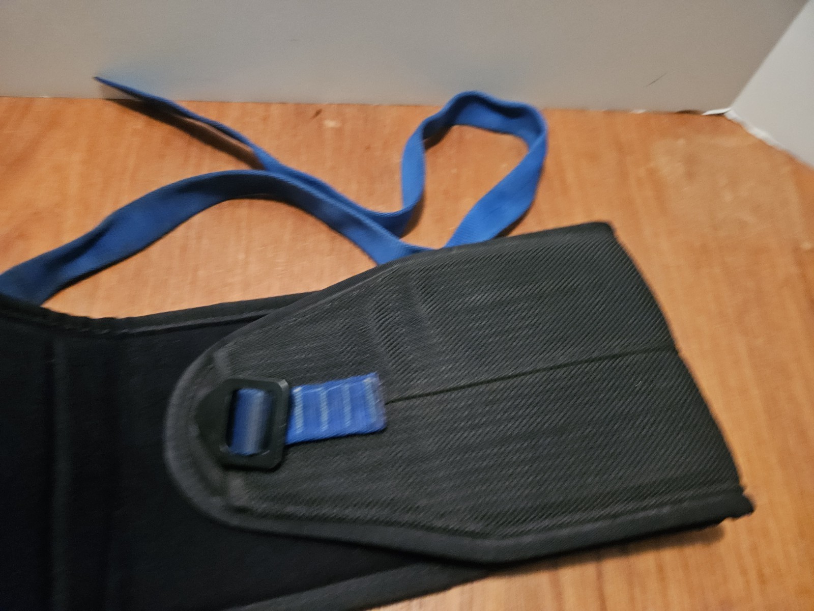 Ironmind De Rigueur Dipping Belt Pull Up Chin Up