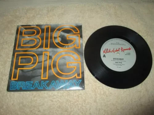 Bulk 7" records ( and CDS ) Add to cart to buy several and get big discounts - Picture 417 of 429