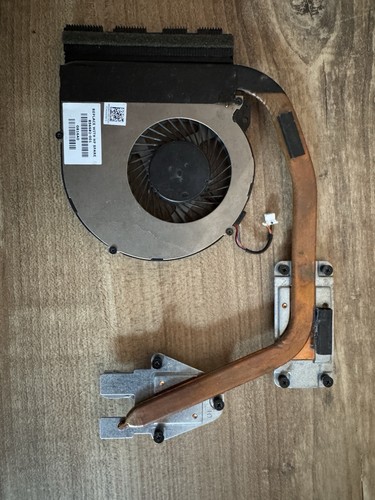 HP 17 Y Lüfter Und Kühler 856682-001