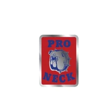 Pro Neck - National Pro - head tube - chrome