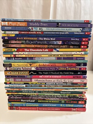 25 Chapter Book lot -2nd 3rd Grade Level - Teacher Classroom Homeschool