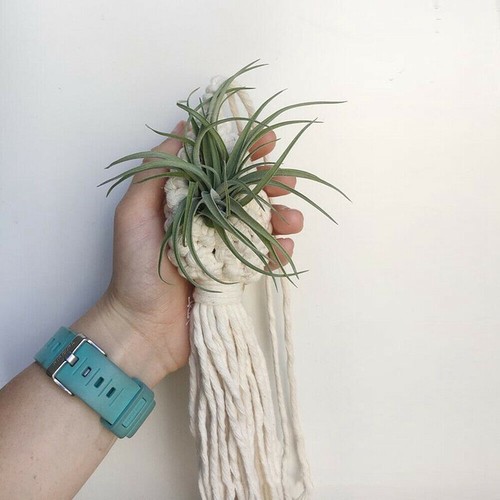 Boho Macrame Air Plant Hanger Tillandsia Hanging Basket Rope Holder Flower Home - Bild 7 von 10