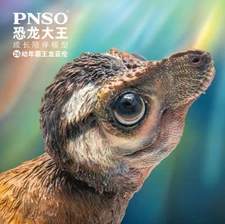 PNSO Baby Tyrannosaurus Rex  T-Rex Cub Dinosaur Model Animal Collection