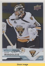 2018-19 Upper Deck CHL Silver Kevin Mandolese #163 READ kr0