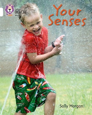Your Senses | Band 10/White | Sally Morgan | Englisch | Taschenbuch | 2012