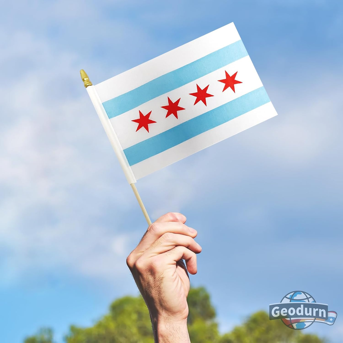 Confezione Da 20 Bandiere Di Chicago – 12,7x20,3 Cm Su Bastoncini Di Legno Con Punta A Lancia, Per Eventi E Decorazioni
