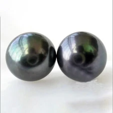 Huge Natural AAA+++ 13-14 mm South Sea Black Pearl Earrings 14K Yellow Gold