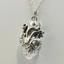 3D Anatomical Human Heart Charm Necklace - 925 Sterling Silver - Love Lifelike