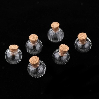 6 Stück Kürbis Glasflaschen mit Korkenverschluss Wunschfläschchen Gläser
